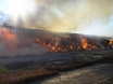 pozar-mala-branjevina-10-09-2011-1