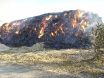 pozar-mala-branjevina-10-09-2011-11