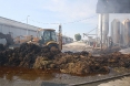 pozar-mala-branjevina-10-09-2011-19