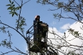 sova-tenja-05-05-2012-2