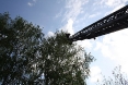 sova-tenja-05-05-2012-3