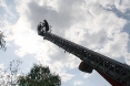 sova-tenja-05-05-2012-5