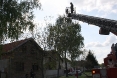 sova-tenja-05-05-2012-6