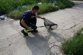 zmija-zaostroska-9osijek-09-05-2013-7
