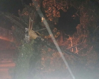 Olujno nevrijeme intervencije 25.06 (1)