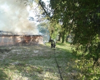 Pozar Bilje 12.05.2017 (1)