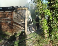 Pozar Bilje 12.05.2017 (5)