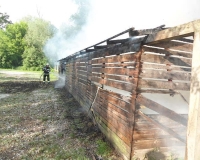 Pozar Bilje 12.05.2017 (6)