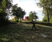 Pozar Bilje 12.05.2017 (7)