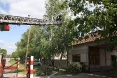 breza-tenja-17-05-6