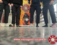 Dan-Downovog-sindroma-21.03-1