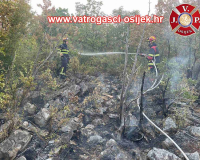 Divulje-08.2024-2