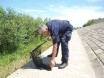 hvatanje-zmije-16-06-2016-5