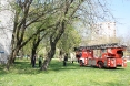 macka-na-stablu-i-g-kovacica-6osijek-19-04-2013-1