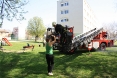 macka-na-stablu-i-g-kovacica-6osijek-19-04-2013-7