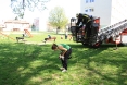macka-na-stablu-i-g-kovacica-6osijek-19-04-2013-8