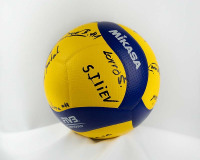 Odbojkaska-lopta-1