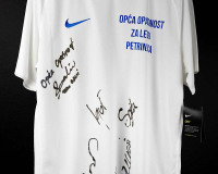 Opca-opasnost