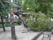 pala-breza-vij-murse-2osijek-06-07-2012-2