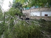 pala-breza-vij-murse-2osijek-06-07-2012-3