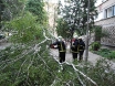 pala-breza-vij-murse-2osijek-06-07-2012-4