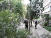pala-breza-vij-murse-2osijek-06-07-2012-5