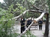 pala-breza-vij-murse-2osijek-06-07-2012-6