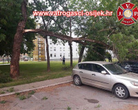 Palo-stablo-11.06.2021-1