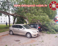 Palo-stablo-11.06.2021-2
