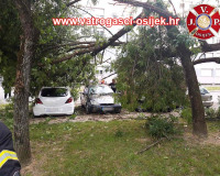 Palo-stablo-11.06.2021-3