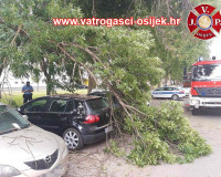 Palo-stablo-11.06.2021-8