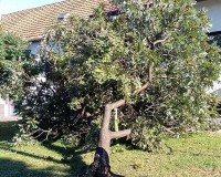 palo-stablo-18.09.2022-1