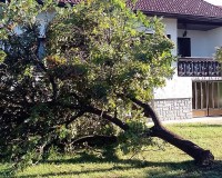 palo-stablo-18.09.2022-2