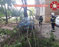 palo-stablo-na-automobil-13.06.2022-1