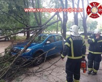 palo-stablo-na-automobil-13.06.2022-2