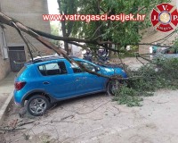 palo-stablo-na-automobil-13.06.2022-3