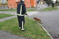 pas-u-sahtu-celijska-b-b-16-04-2012-10