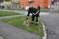 pas-u-sahtu-celijska-b-b-16-04-2012-8