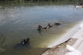 poplave-2-2013-2