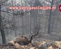 pozar-dinara-6