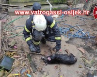 Pozar-kuce-04.02.2023-7