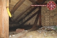pozar-kuce-dalj-25-11-2013-1