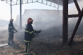 pozar-mala-branjevina-10-09-2011-21