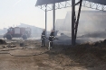 pozar-mala-branjevina-10-09-2011-22