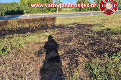Pozar-otvoenog-prostora-10.08-3