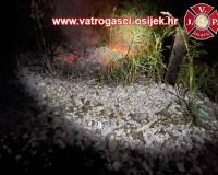 Pozar-otvorenog-prostora-05.09.2022-1