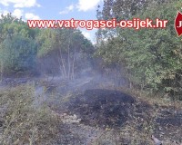 Pozar-otvorenog-prostora-31.07.2022-4