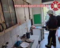 Pozar-pecnice-08.08.2022-1