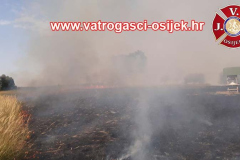 Pozar-podravlje-28.08.2025-10