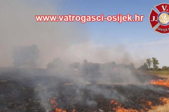 Pozar-podravlje-28.08.2025-8